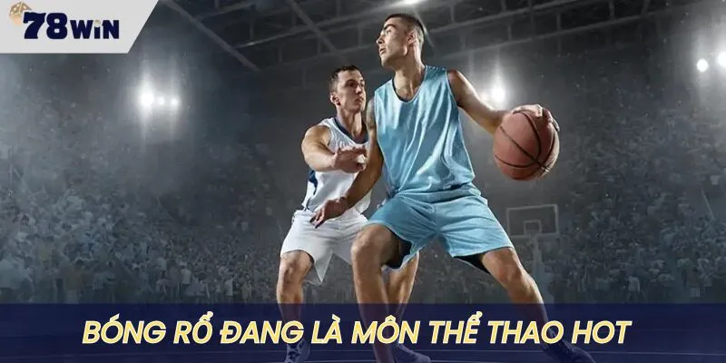 Bóng rổ là môn thể thao hot đang được săn đón