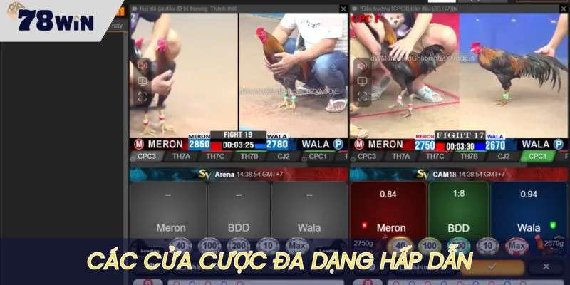 Các cửa cược đa dạng với mức thưởng khác biệt