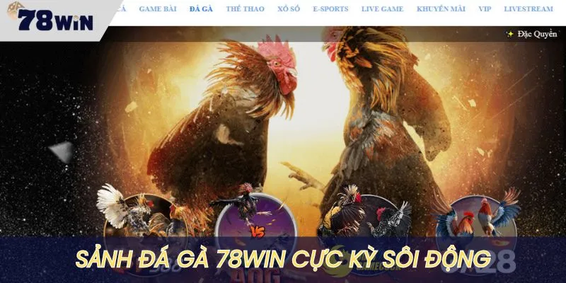 Sảnh Đá gà 78WIN luôn trong tình trạng sôi động nhất