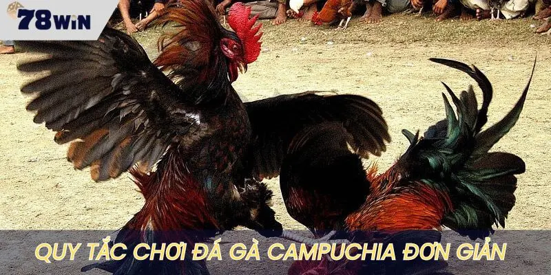 Quy tắc chơi chọi gà Campuchia không hề phức tạp
