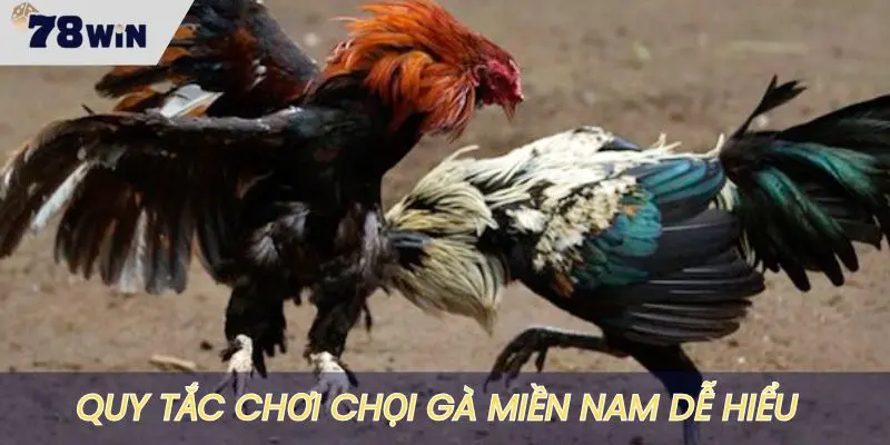 Quy tắc chọi gà theo kiểu miền Nam